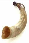 Natural brass horn on white background, used as an early musical instrument or signal horn.