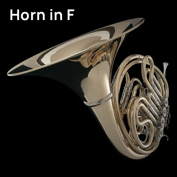 Brass horn in F with a polished finish, displayed against a dark background.