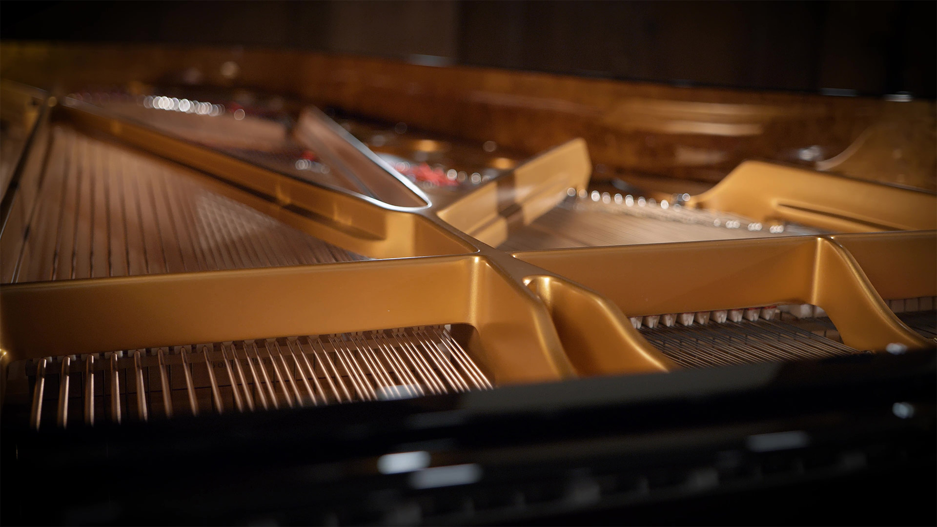 Detailed interior view of a Fazioli F308 concert grand piano, showcasing the golden harps, strings, and delicate mechanisms for the Synchron F308 series.