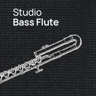 studio-bass-flute-
