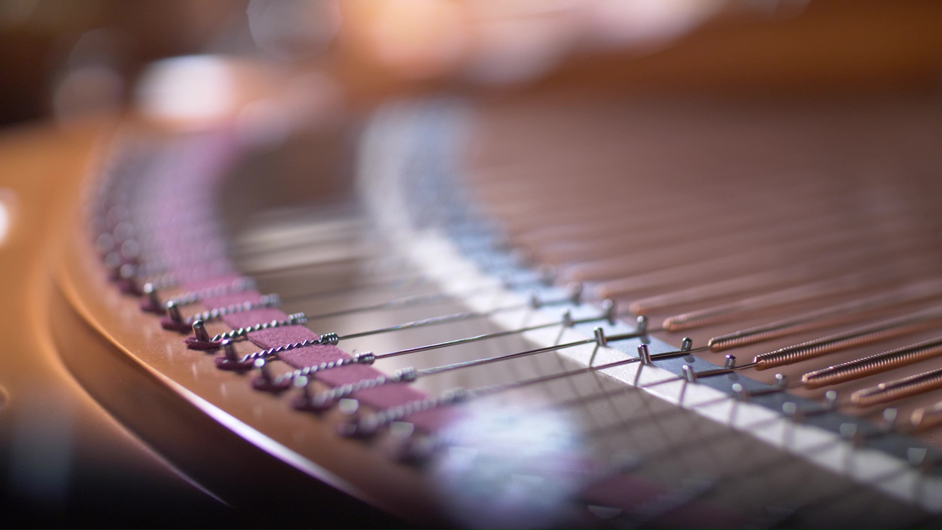 Close-up view of the interior strings and felt dampers of a piano or similar stringed musical instrument, showcasing the intricate metal and felt components.