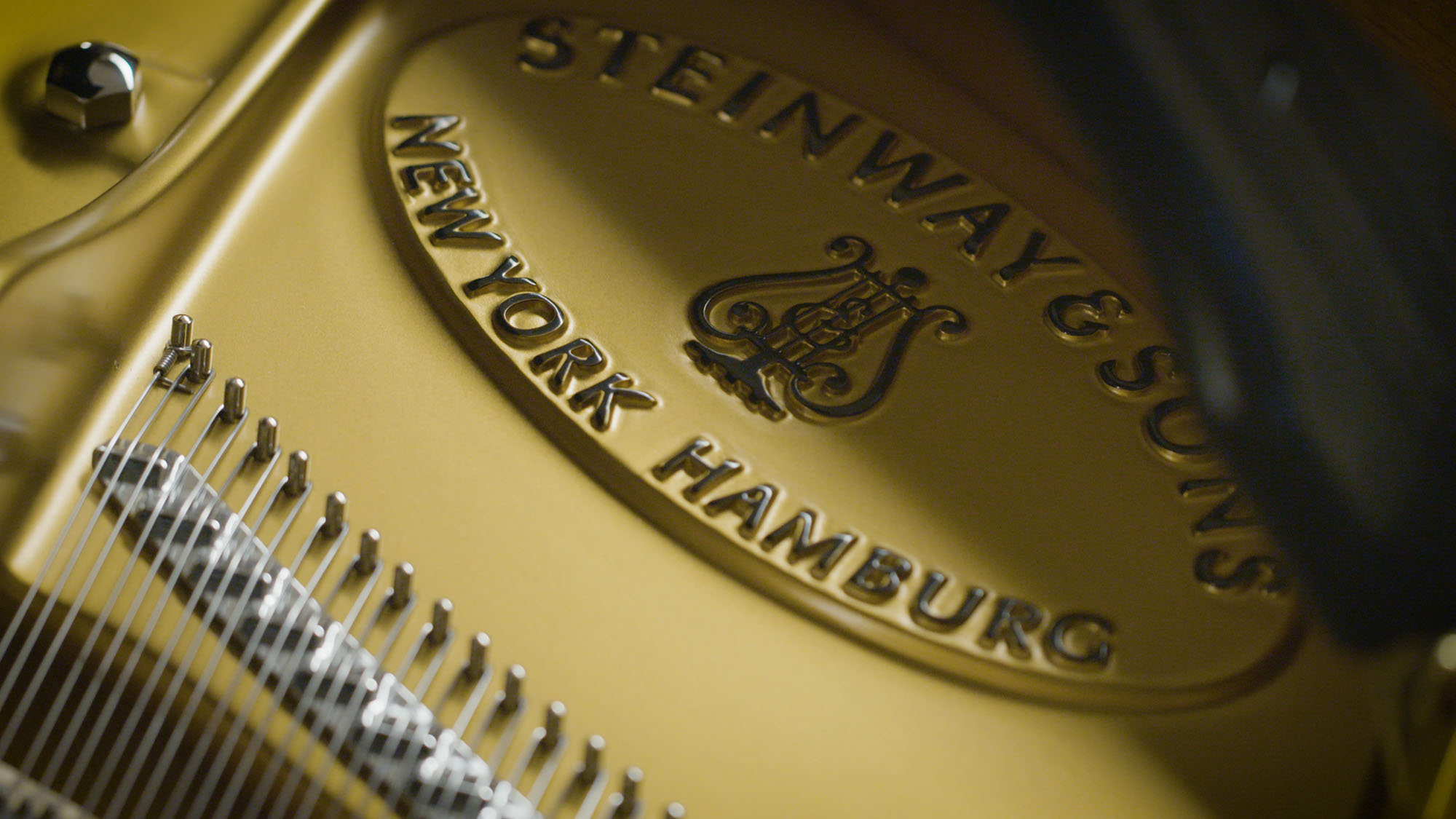 Up-close golden interior of a Steinway & Sons grand piano, showing the Steinway & Sons New York Hamburg logo, soundboard, and tuning pins with strings.