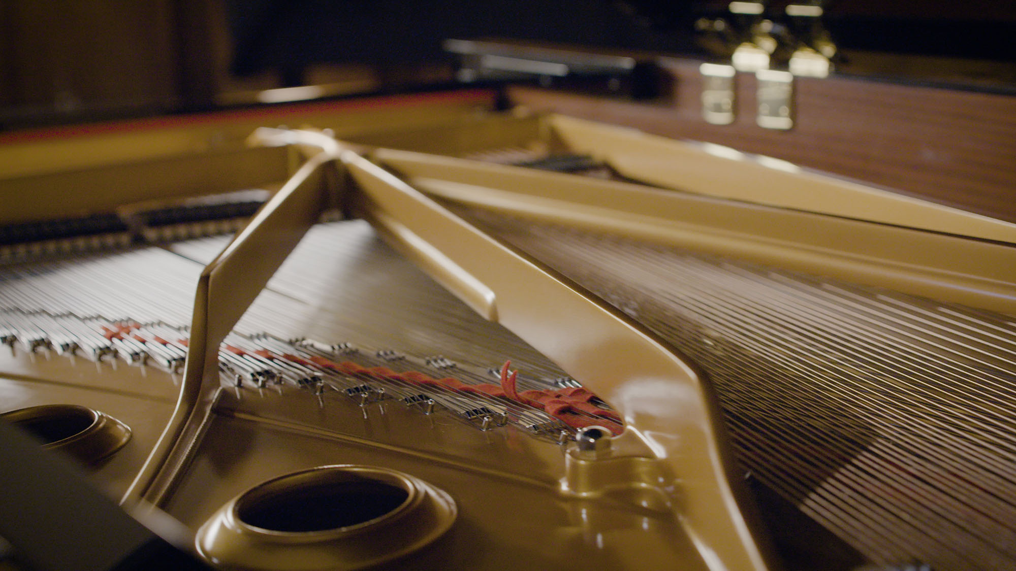 Detailed inside view of a grand piano soundboard with strings, pins, and gold harp framework, showcasing the intricate mechanism.